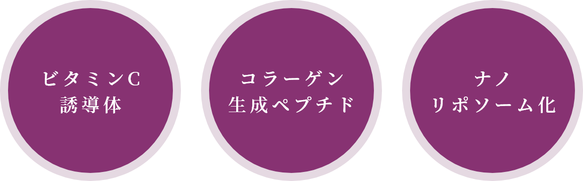 ビタミンC誘導体 コラーゲン生成ペプチド ナノ
        リポソーム化